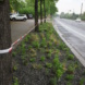 Pflanzfläche an der Riesaer Straße.